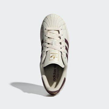 ADIDAS ORIGINALS Låg sneaker 'Superstar II' i vit