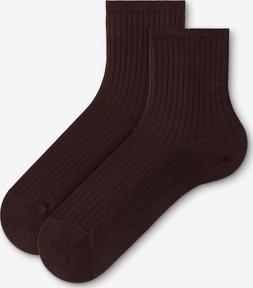 CALZEDONIA Socks in Brown: front