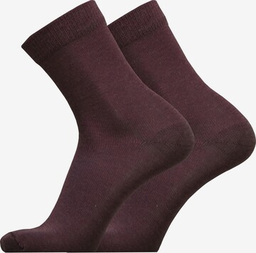 UphillSport Socken 'MERINO LIGHT' in Rot: predná strana