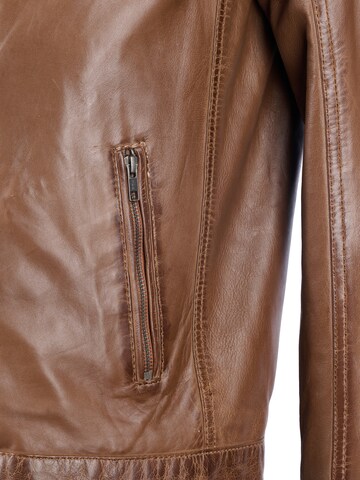 JCC Tussenjas in Bruin