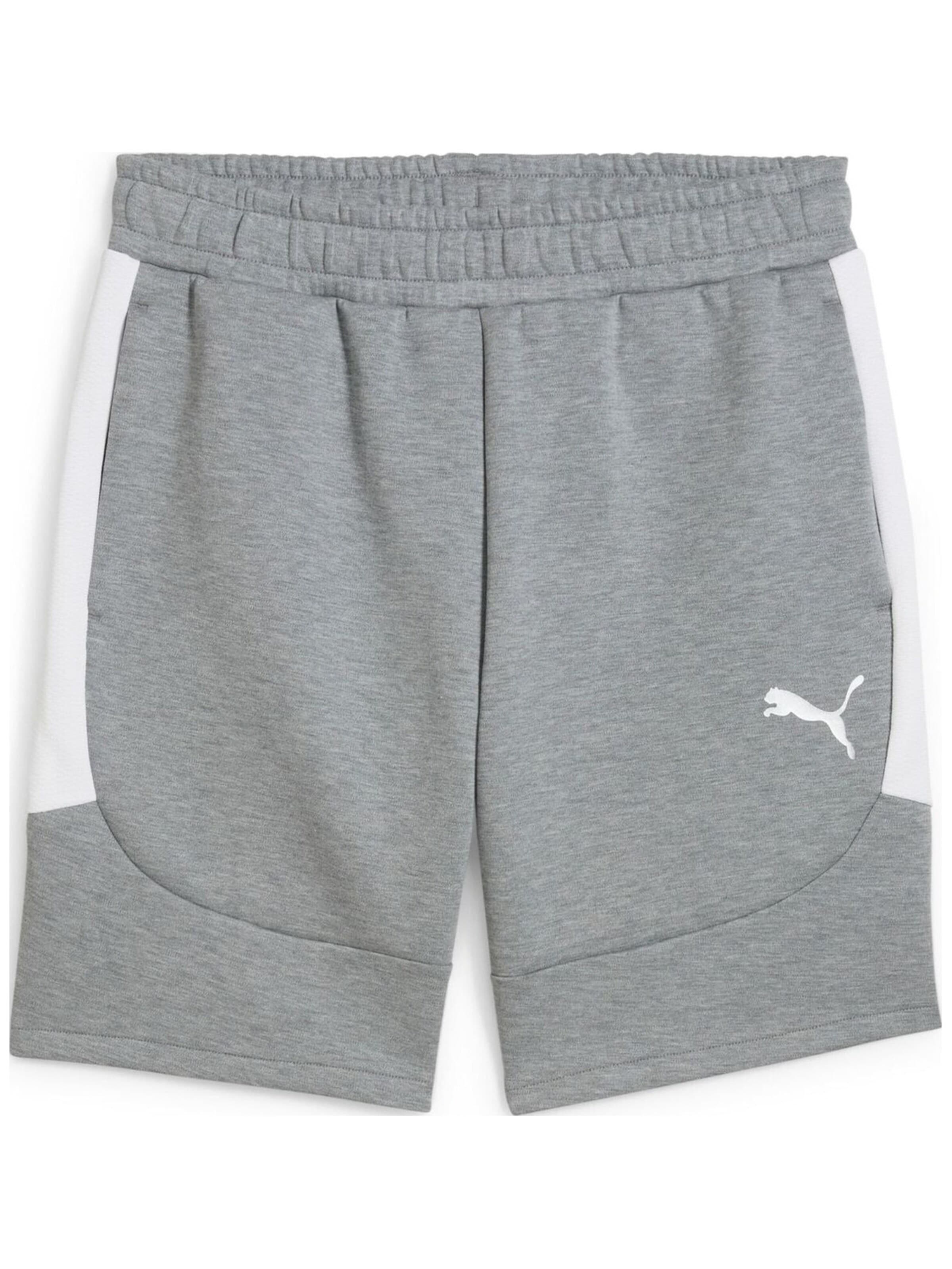 regular Pantaloni sportivi 'Puma Teamevostripe Shorts' di PUMA in grigio: frontale