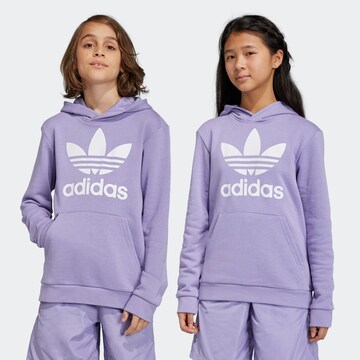 ADIDAS ORIGINALS Sweatshirt 'Trefoil' in Purple: front