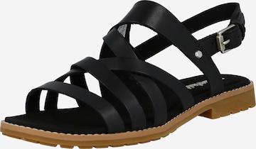 TIMBERLAND Strap Sandals in Black: front