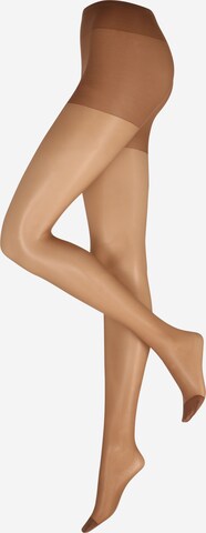 Lindex - Collants finos em bege: frente