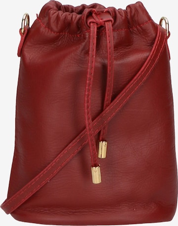 Gave Lux Pouch in Red: front