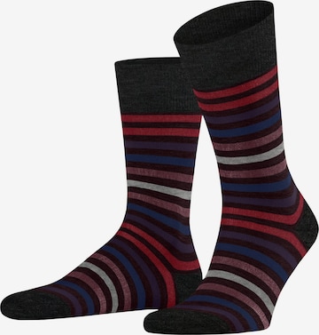 FALKE Socken 'Tinted Stripe' in Rot: Vorderseite