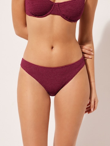 CALZEDONIA Bikini Bottoms 'CRINKLE WAVES' in Red