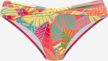 s.Oliver - Braga de bikini en naranja: frente