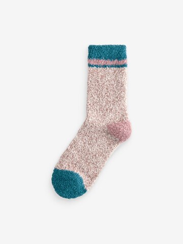 Next - Calcetines en lila
