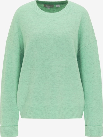 Usha Sweater in Green: front