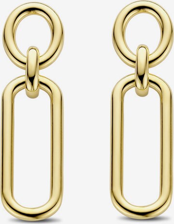 Ti Sento Milano Earrings in Gold: front