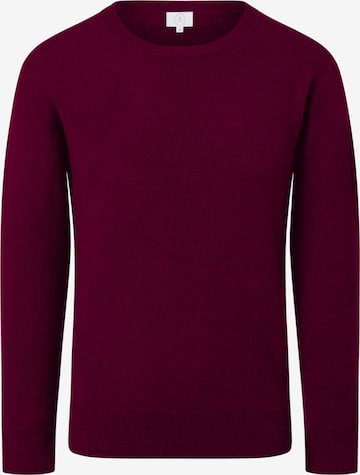 Pull-over CASH-MERE.CH en violet : devant