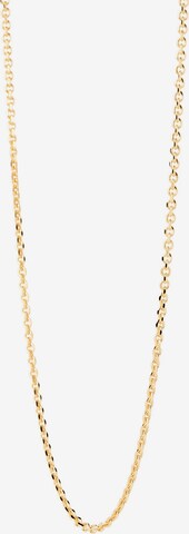 P D PAOLA Necklace in Gold: front