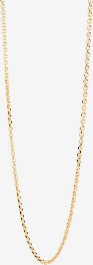 P D PAOLA Necklace in Gold, Item view