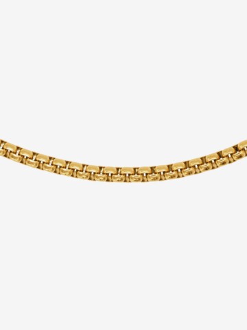 Heideman Bracelet 'Miles' in Gold