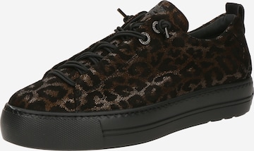 Paul Green Sneaker in Schwarz: Vorderseite