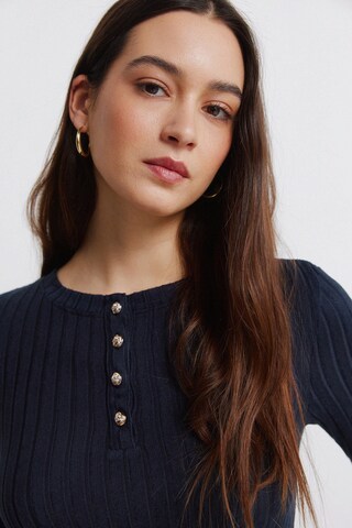 Springfield Pullover in Blau