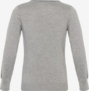 CIPO & BAXX Strickpullover in Grau