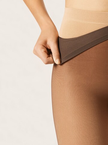 CALZEDONIA Tights in Brown