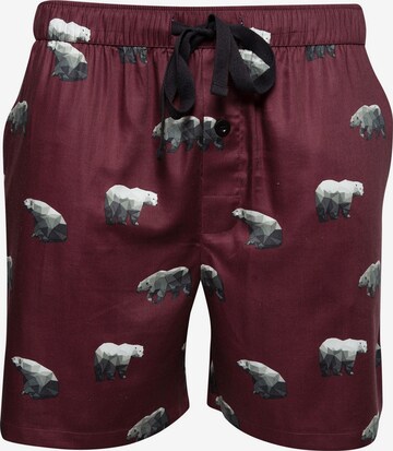 Cyberjammies Pajama Pants 'Harley Polar Bear' in Red: front