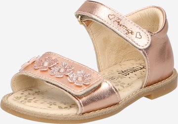 PRIMIGI Sandals in Gold: front