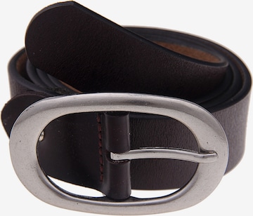 Leslii Belt in Brown: front