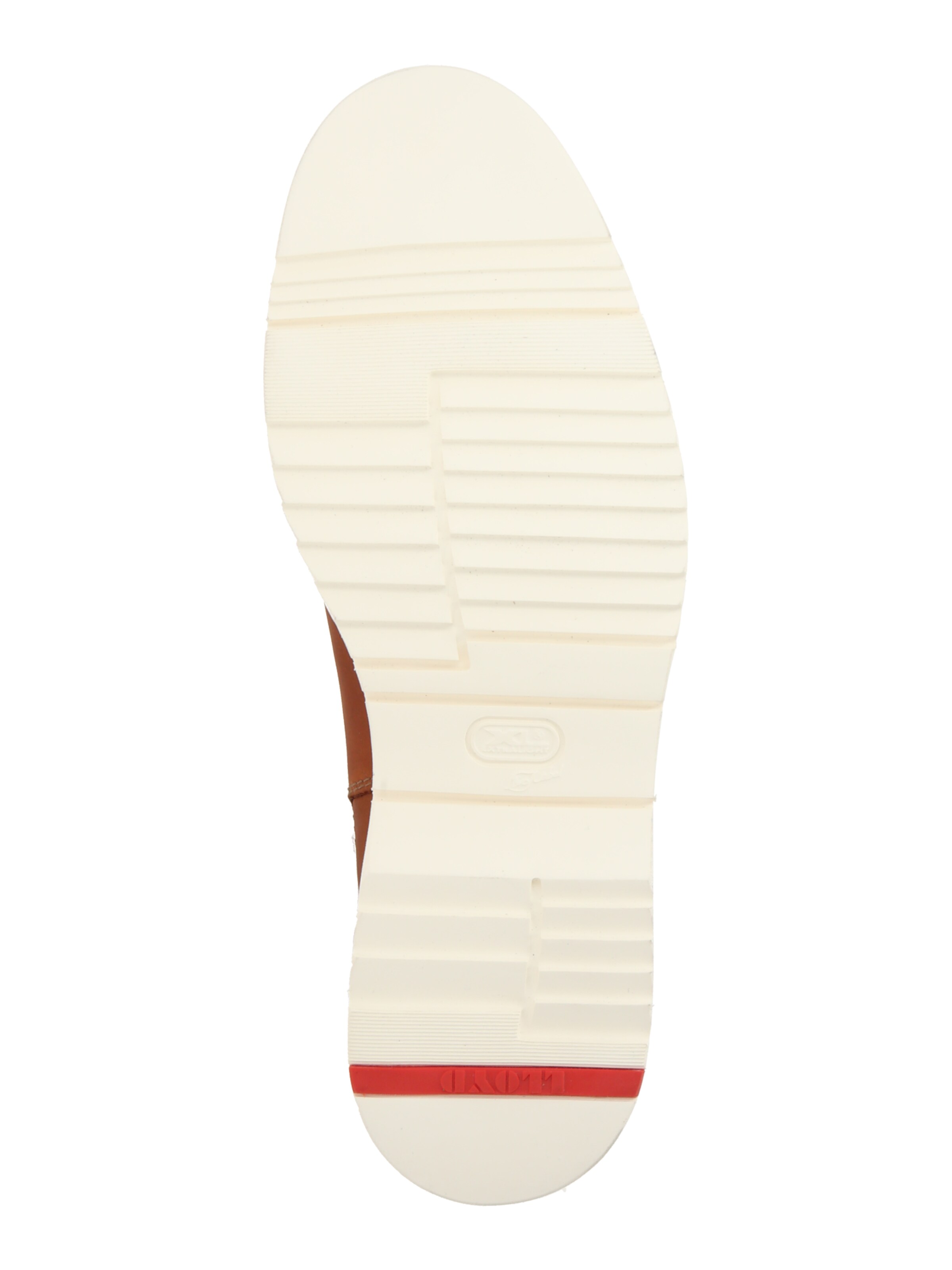 LLOYD Chelsea Boots 'DENTON' in Braun