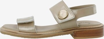 Ca'Shott Sandaalit 'Grace' värissä harmaa: etupuoli