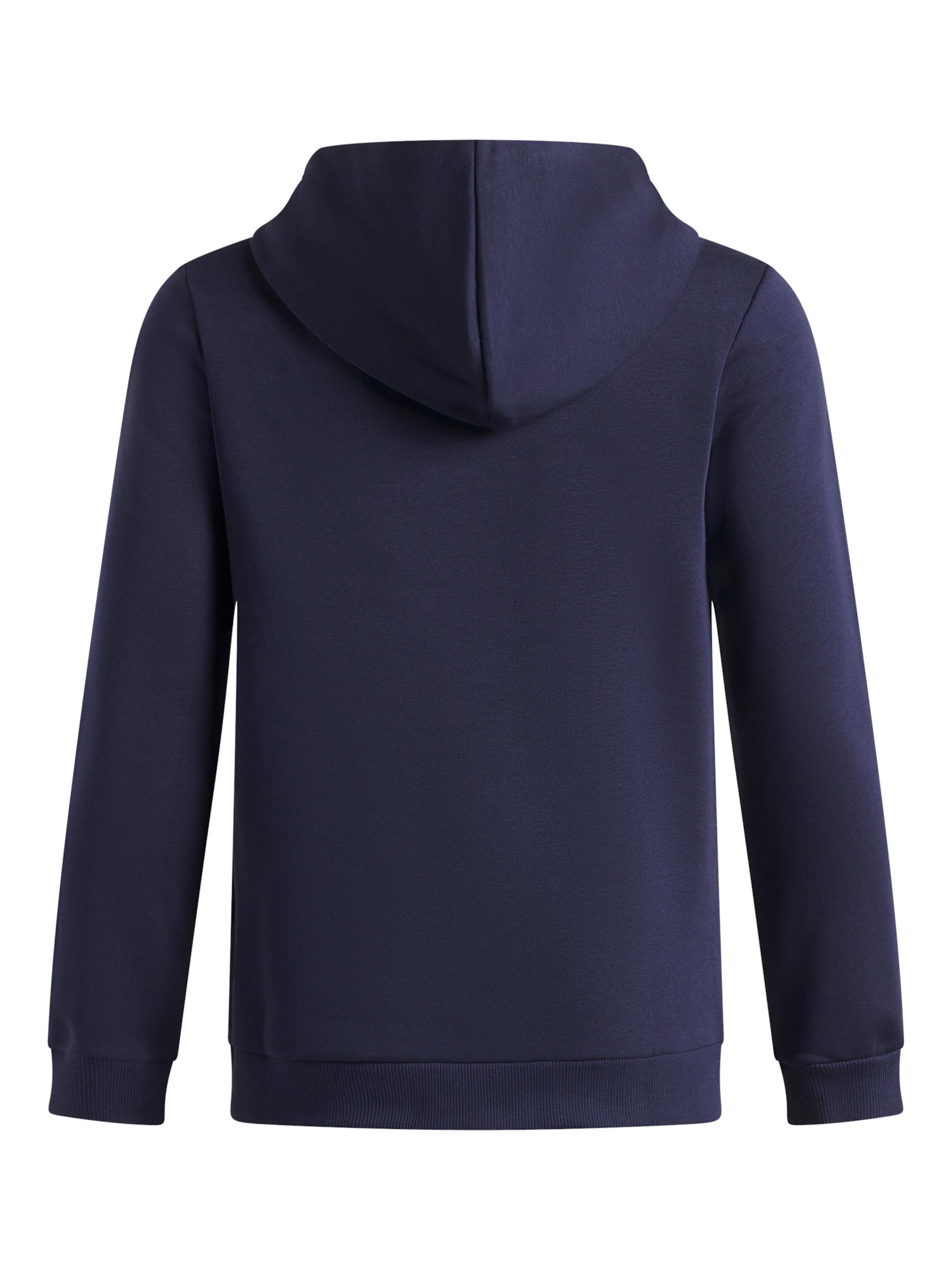 UNDER ARMOUR Sports sweatshirt 'Rival' in Blue