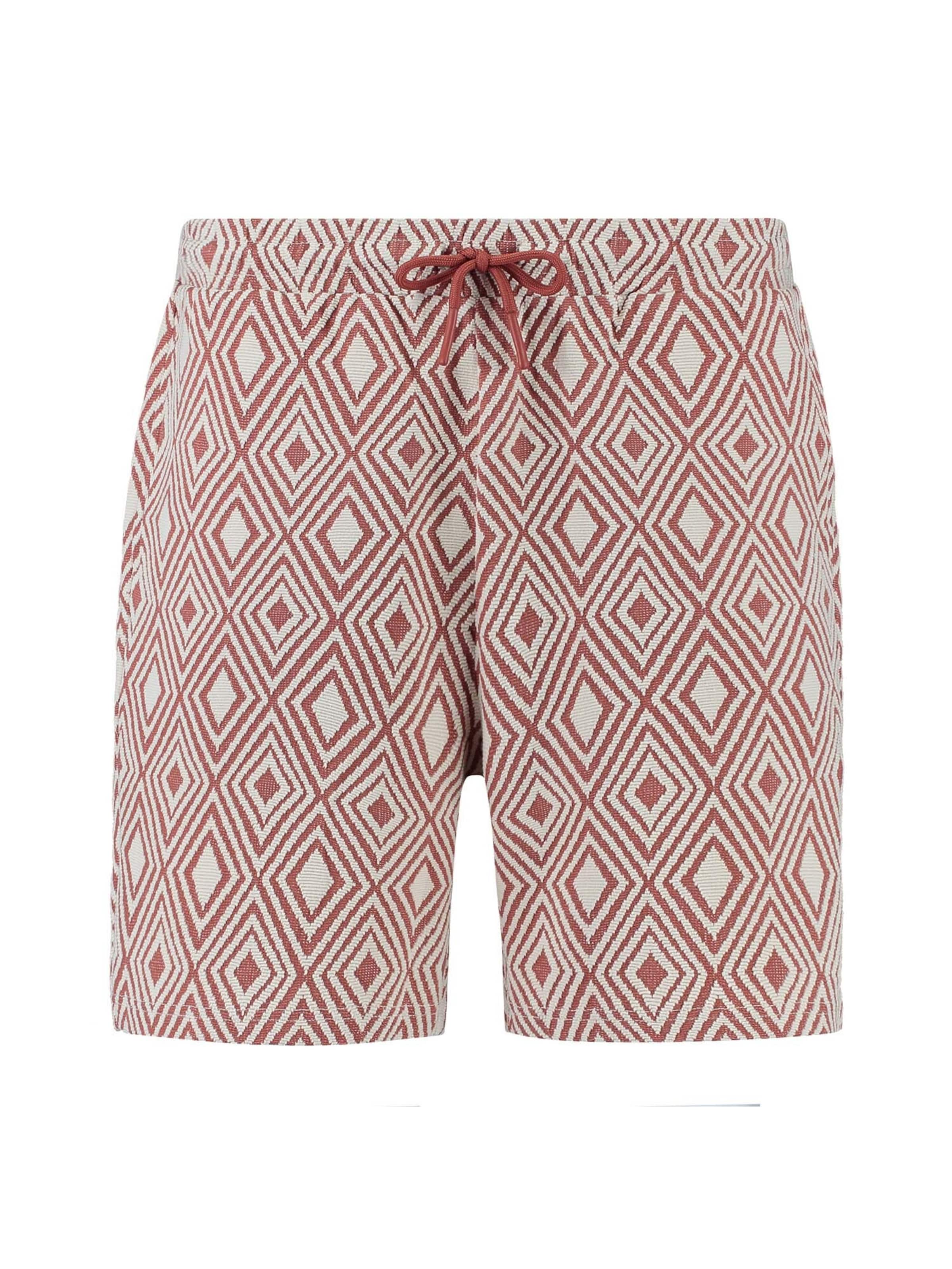 Shiwi Regular Trousers 'Intarsia' in Brown: front