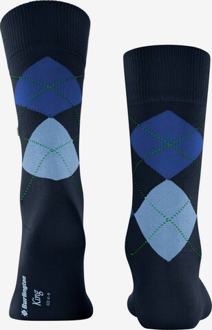 BURLINGTON Socks in Blue