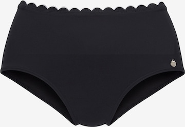 LASCANA Bikini Bottoms in Black: front