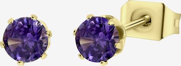 Boucles d'oreilles Lucardi en or : devant