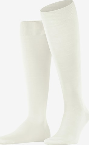 FALKE Knee High Socks 'ClimaWool' in White: front