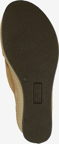 Bama Pantolette in Beige