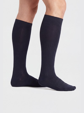 Ciocca Knee High Socks in Blue