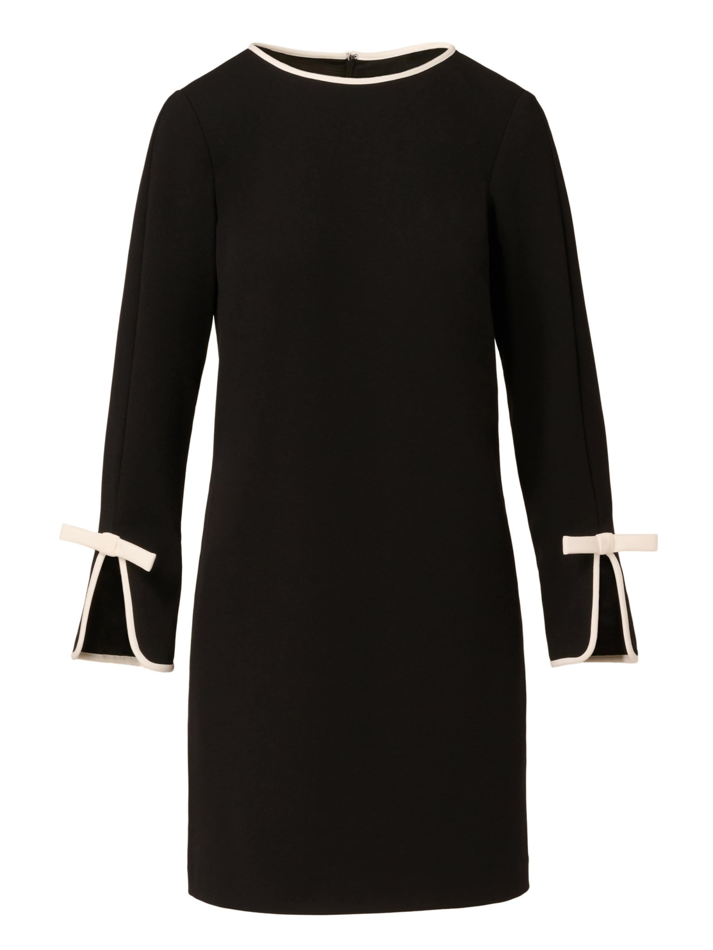 Adrianna Papell Kleid in Schwarz: Vorderseite