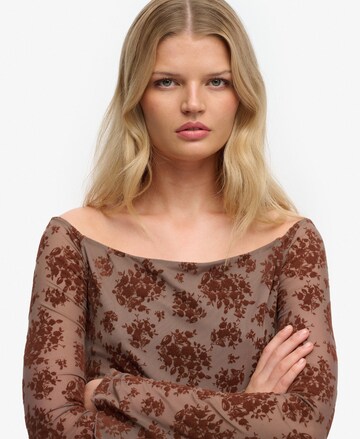 T-shirt Superdry & Co en marron