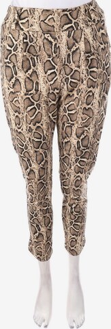 Today Treggings S in Braun: predná strana