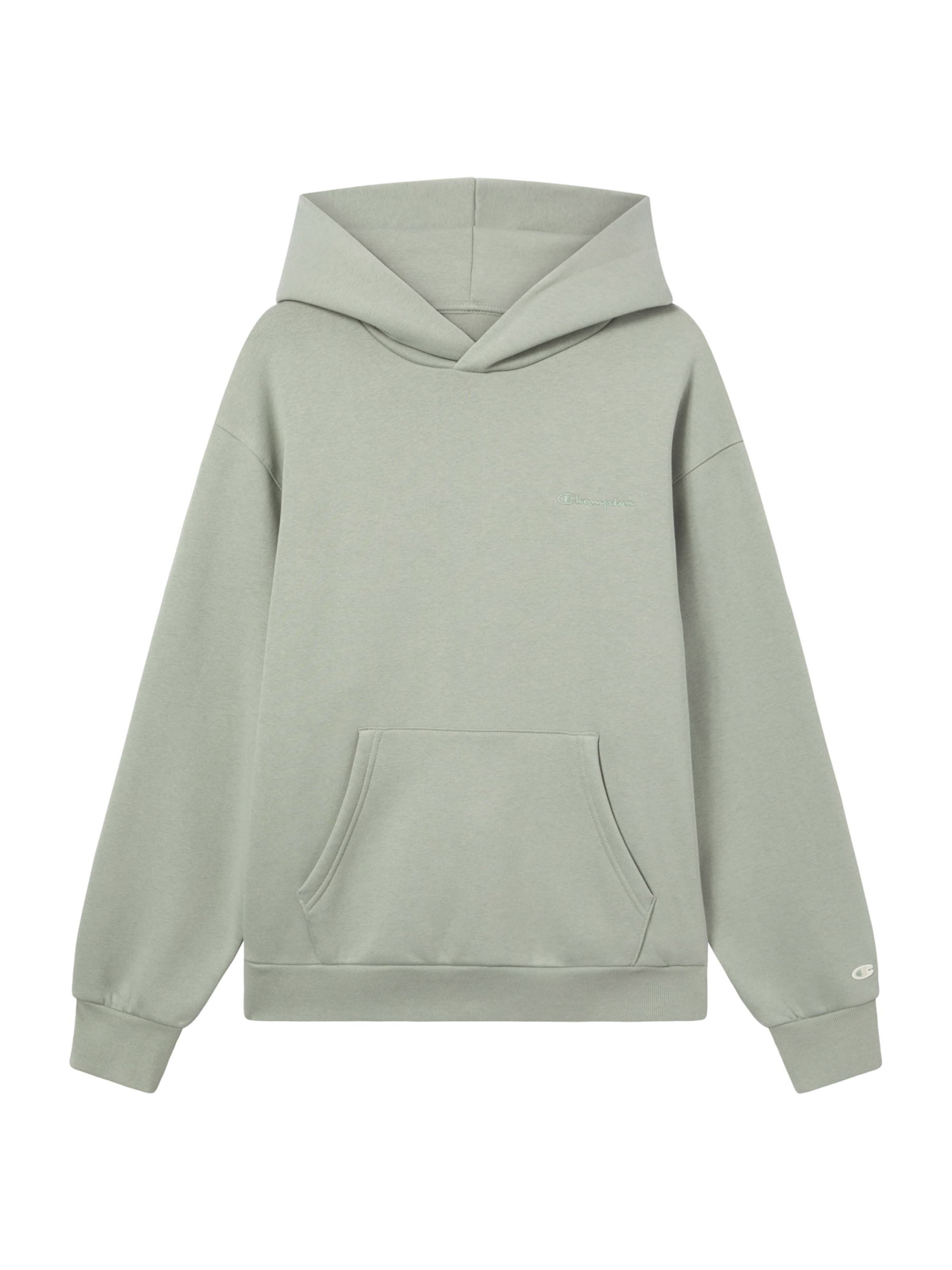 Champion Authentic Athletic Apparel Sweater in Pastel green, Item view