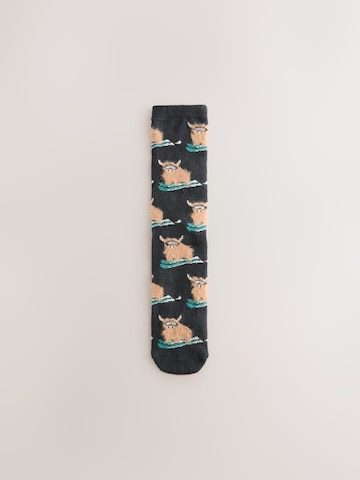 Chaussettes Next en mélange de couleurs
