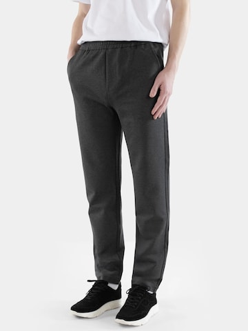 Ciszere Regular Hose 'Harlow superior'‌ in Grau