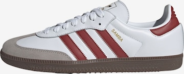 ADIDAS ORIGINALS - Sapatilhas baixas 'Samba' em branco: frente