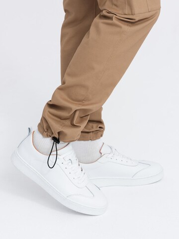 Ombre Regular Trousers in Brown