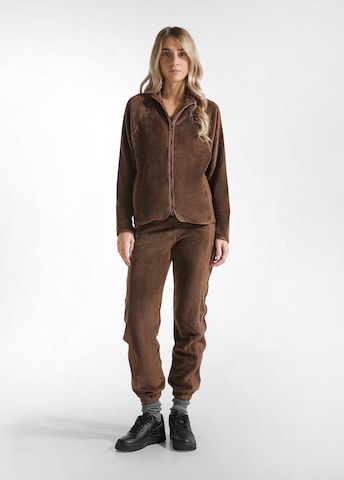 DEHA Tapered Broek in Bruin