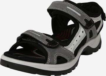 ECCO Wandelsandalen 'Offroad' in Grijs: voorkant