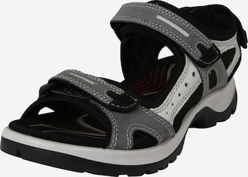 ECCO Hiking Sandals 'Offroad' in Grey: front