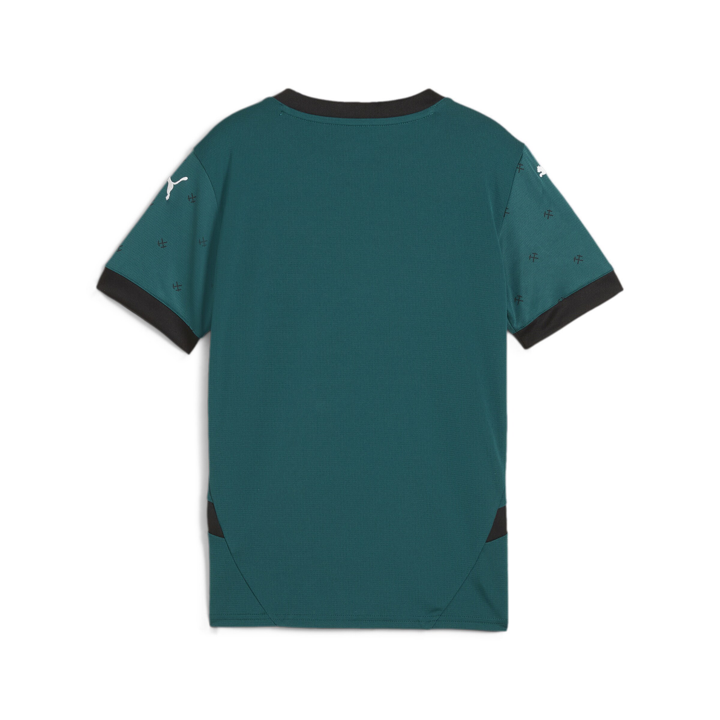 T-Shirt fonctionnel 'RC Lens 24/25' PUMA en vert