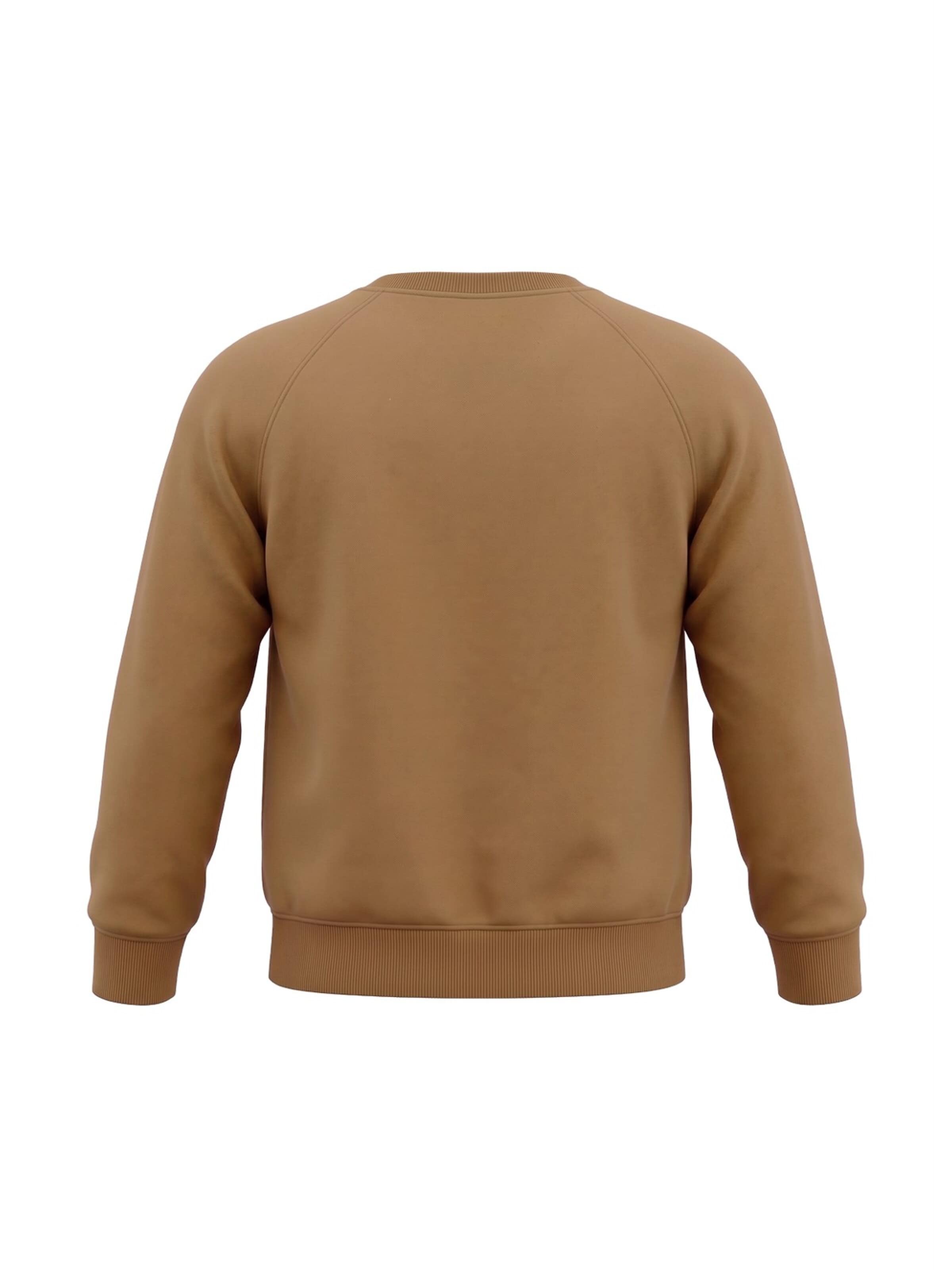 BARROW Sweatshirt in Brown