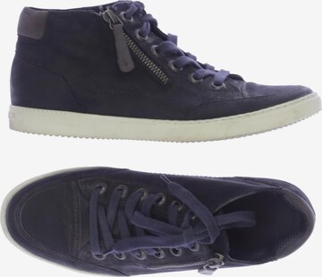 Paul Green Sneakers & Trainers in 38 in Blue: front